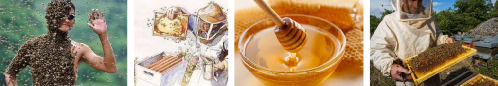 Сложности пчеловодства